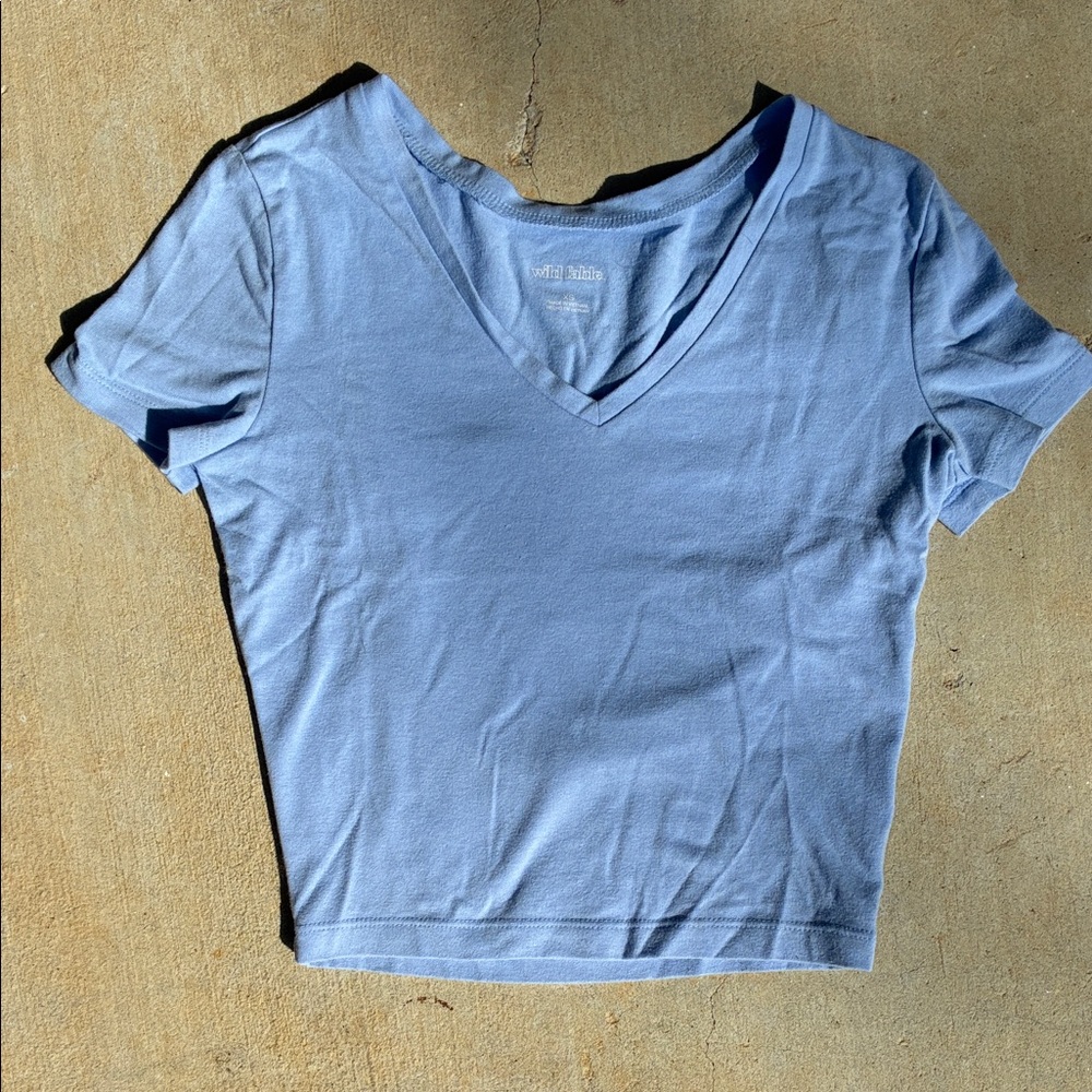 Wild Fable Periwinkle V-Neck Cropped Tee